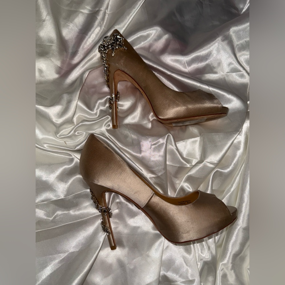Badgley Mischka Heels (7)
